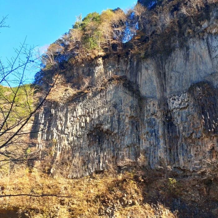 画像303