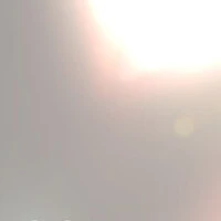 画像453