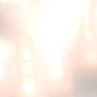 画像461