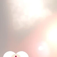 画像487