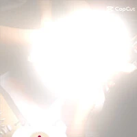 画像525