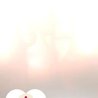 画像529