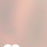 画像533